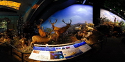 museum panorama by Panoweaver